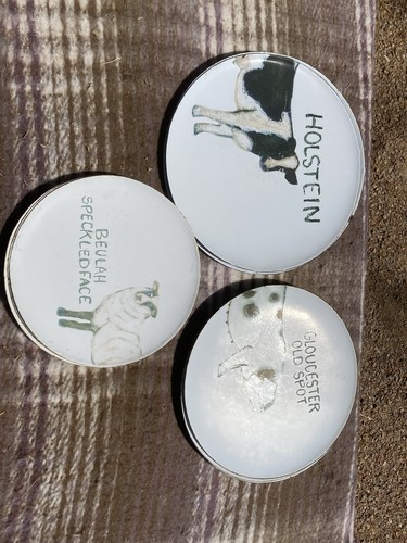 Full set enameled tin - full,
