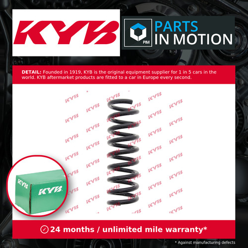 Coil springs - (pair, set)