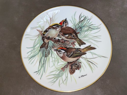 Porcelain plate features