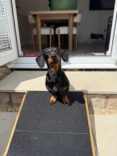 16cm H x 40cm W x 50cm L