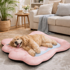 Cat Kitten Bed Pet Dog Soft