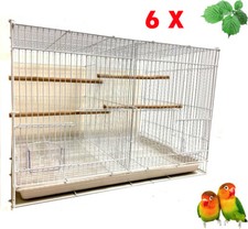 Lot of 6 Aviary Canary Budgie