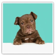 2 x Square Stickers 10 cm -