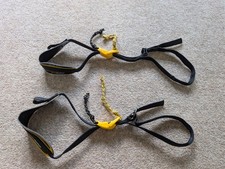 Pair of Charlet Moser Ice Axe