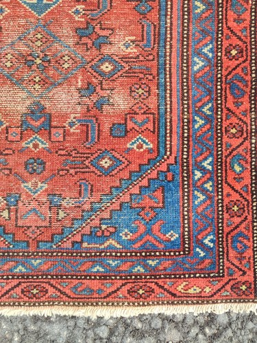 Coral antique rug - coral,