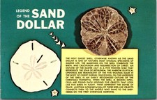 Legend of the Sand Dollar