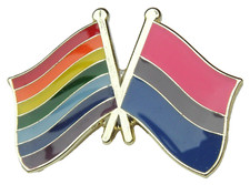 Rainbow & Bisexual Flag Pin