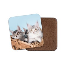 Cute Maine Coon Kittens Coaster - Feline Friends Cats Pets Animals Gift #16053