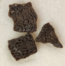 Hadrosaur Egg Shell Fossils