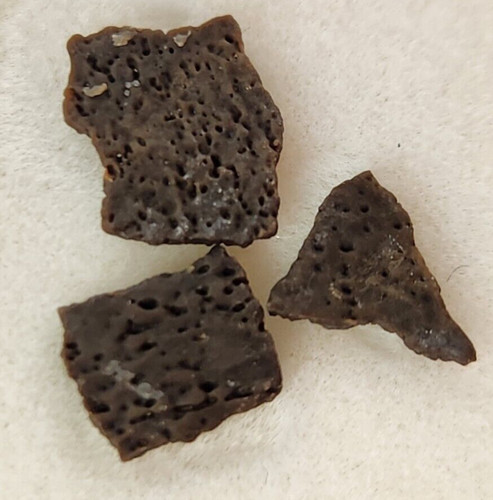 Hadrosaur egg shell fossils - hadrosaur,