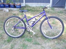 Ladies Raleigh 18 speed Mtb bicycle, collection only.