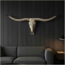 Skeleton Bison Bull Skull Wall