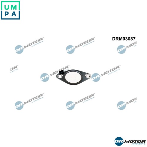 Gasket egr valve - gasket,