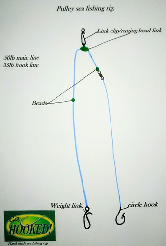 Circle hook sea fishing - circle,