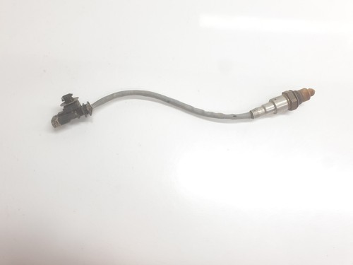 9813838380 lambda probe