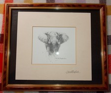 David Shepherd signed elephant