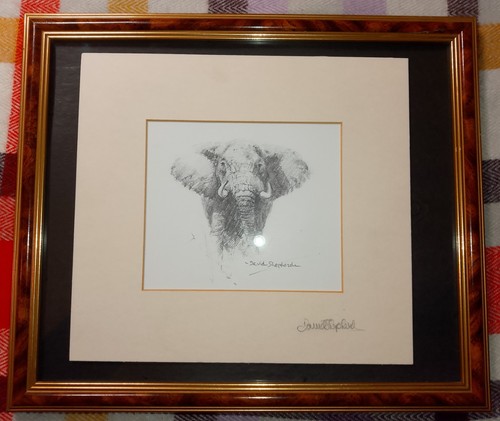 David shepherd signed - signed, elephant