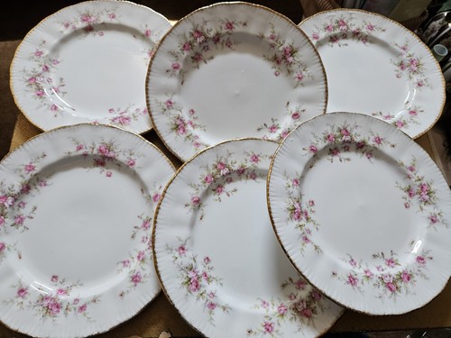 Paragon victoriana rose - victoriana,
