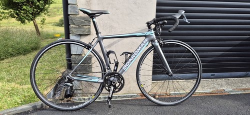 Boardman carbon team - boardman,