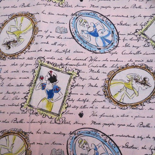 Disney princess frame snow - princess,