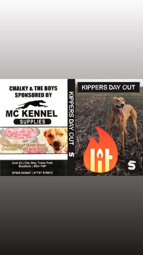Kippers days out 5 - 🔥🔥,