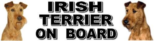 Irish terrier board dog - irish, car