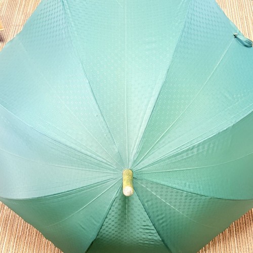 Gucci long rain umbrella - gucci,