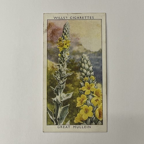 Will cigarette cards wild - cards.,