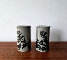 Hornsea Prelude Cruet Set