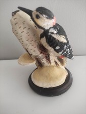 Andy Pearce the Country Bird Collection: The Great Spotted Woodpecker (2010)