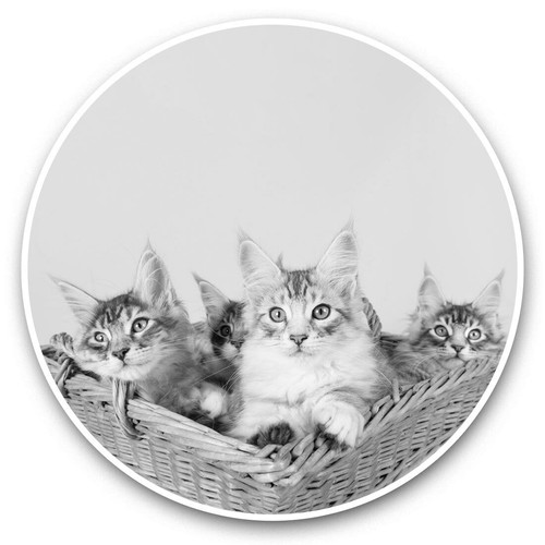 Vinyl stickers 5cm - x,
