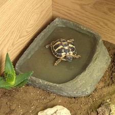 Habistat tortoise pool - tortoise,