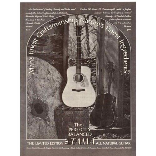 Vintage 1977 print - vintage,
