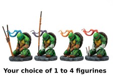 Teenage Mutant Ninja Turtles