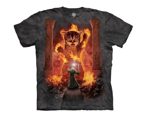 You shall not pass cat - cat, gandalf