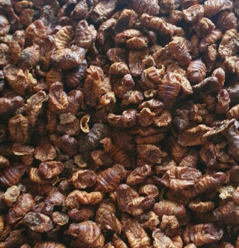 2kg dried silkworm - 2kg, pupae