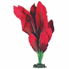 Aqua One Silk Plant Red Amazon