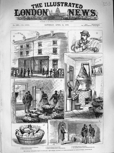 Original old antique print - old,