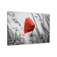 Red Poppy Flower Canvas Wall