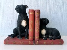 Staffordshire Bull Terrier