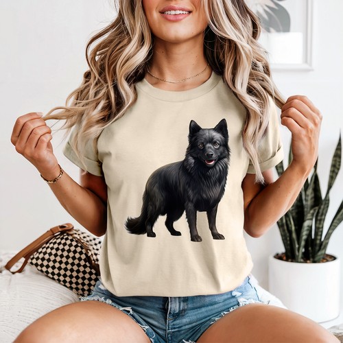 Black schipperke dog - black,