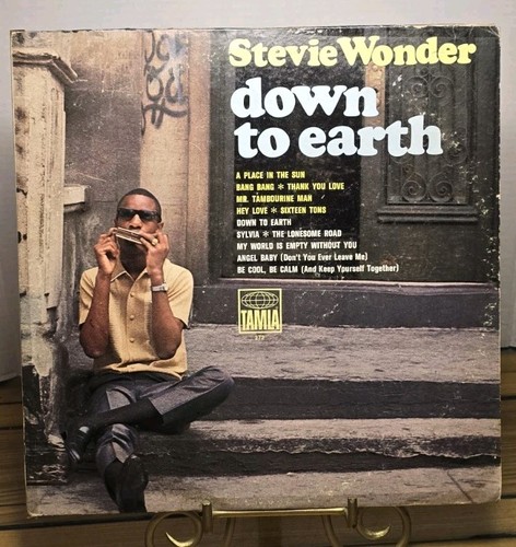 Stevie wonder down earth - stevie, to