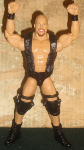 Wwe wrestling figure - wwe,