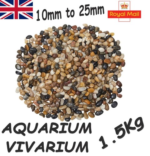 Aquarium fish tank natural - fish,
