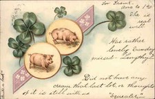 Four Leaf Clover Pigs Piglets