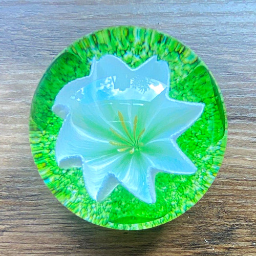 Caithness glass paperweight - caithness,