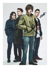 Arctic monkeys entire group - arctic,