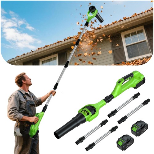 Roof gutter cleaning from the - gutter,