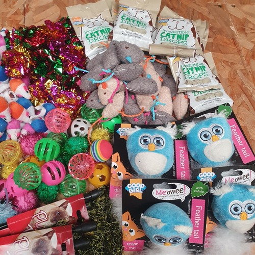 Bulk buy cat kitten - 20, x