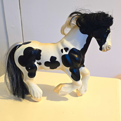 Royal breeds gypsy vanner - royal,